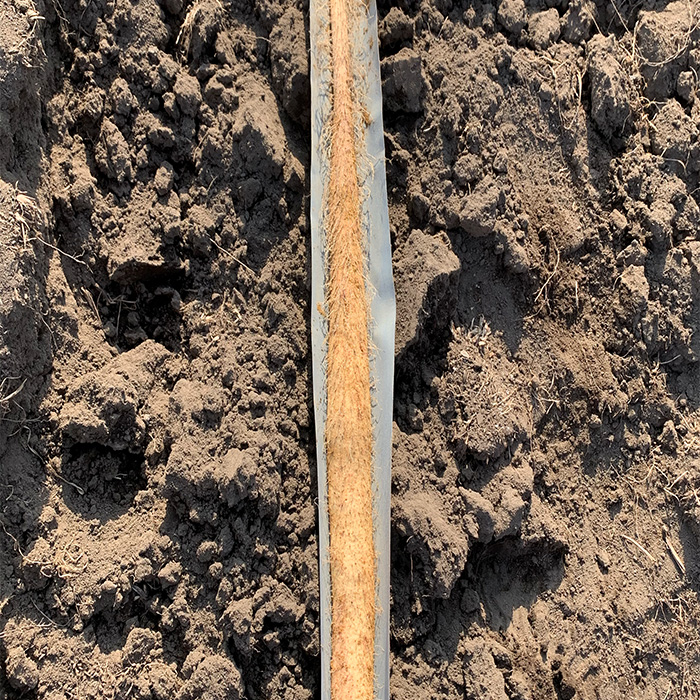 高級自然薯の写真